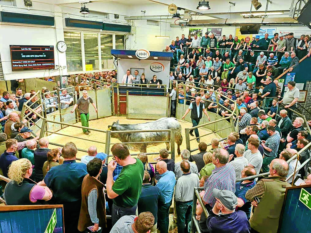 ‘Extraordinary’ sale of Lockerbie herd