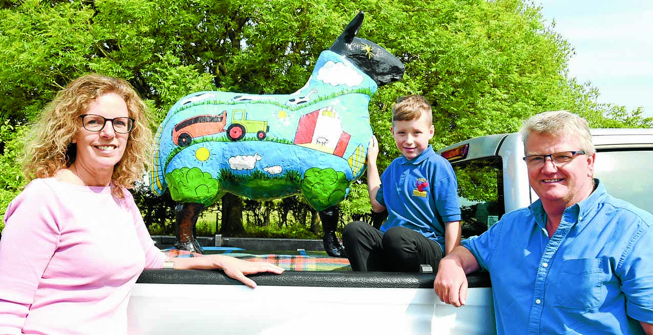 Schoolboy sees his winning sheep design