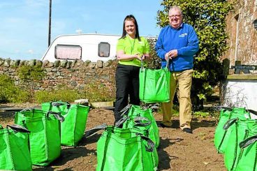 Club ready to harvest their first potato crop