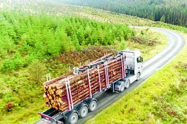 Cash boost for busiest timber roads