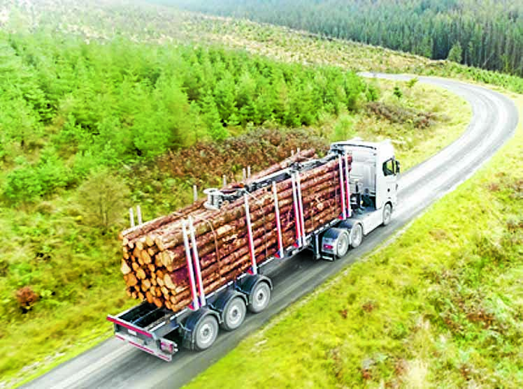 Cash boost for busiest timber roads