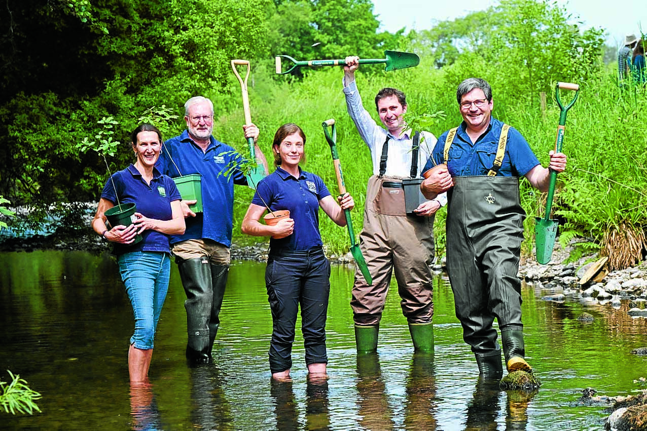 £120,000 available for more tree-planting