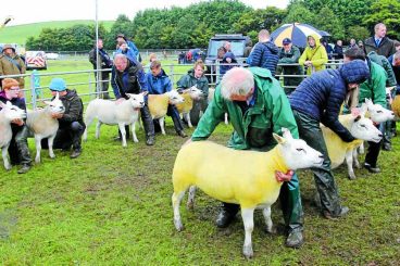 Wigtown puts on a show