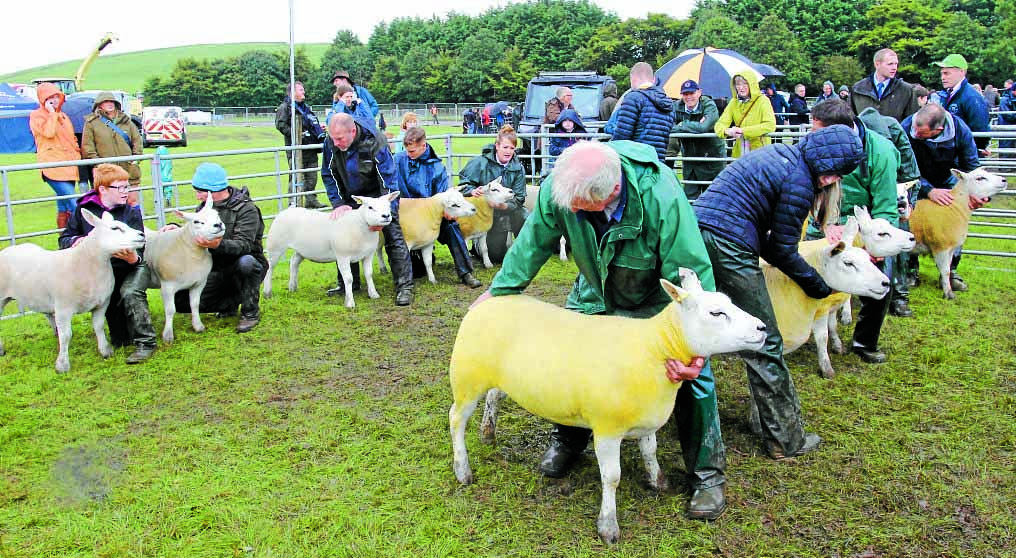 Wigtown puts on a show