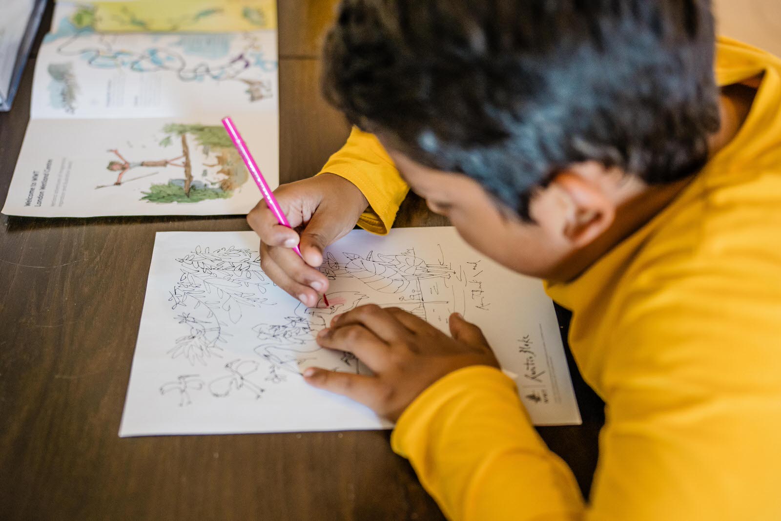 Get drawing