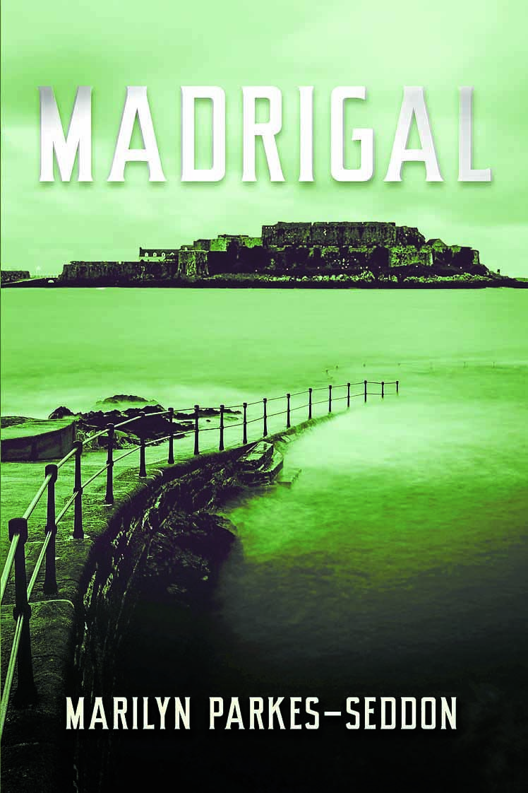 Annandale author publishes second novel