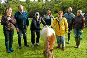 Horse project will improve mental health
