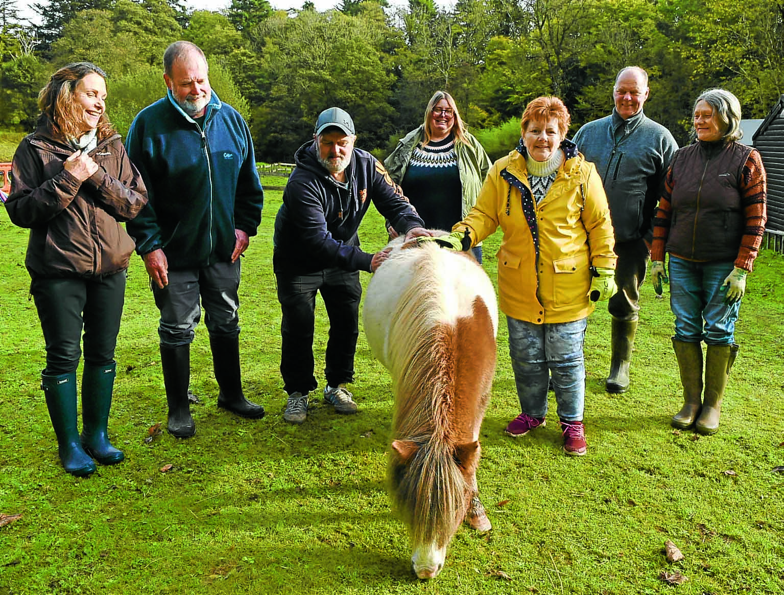 Horse project will improve mental health