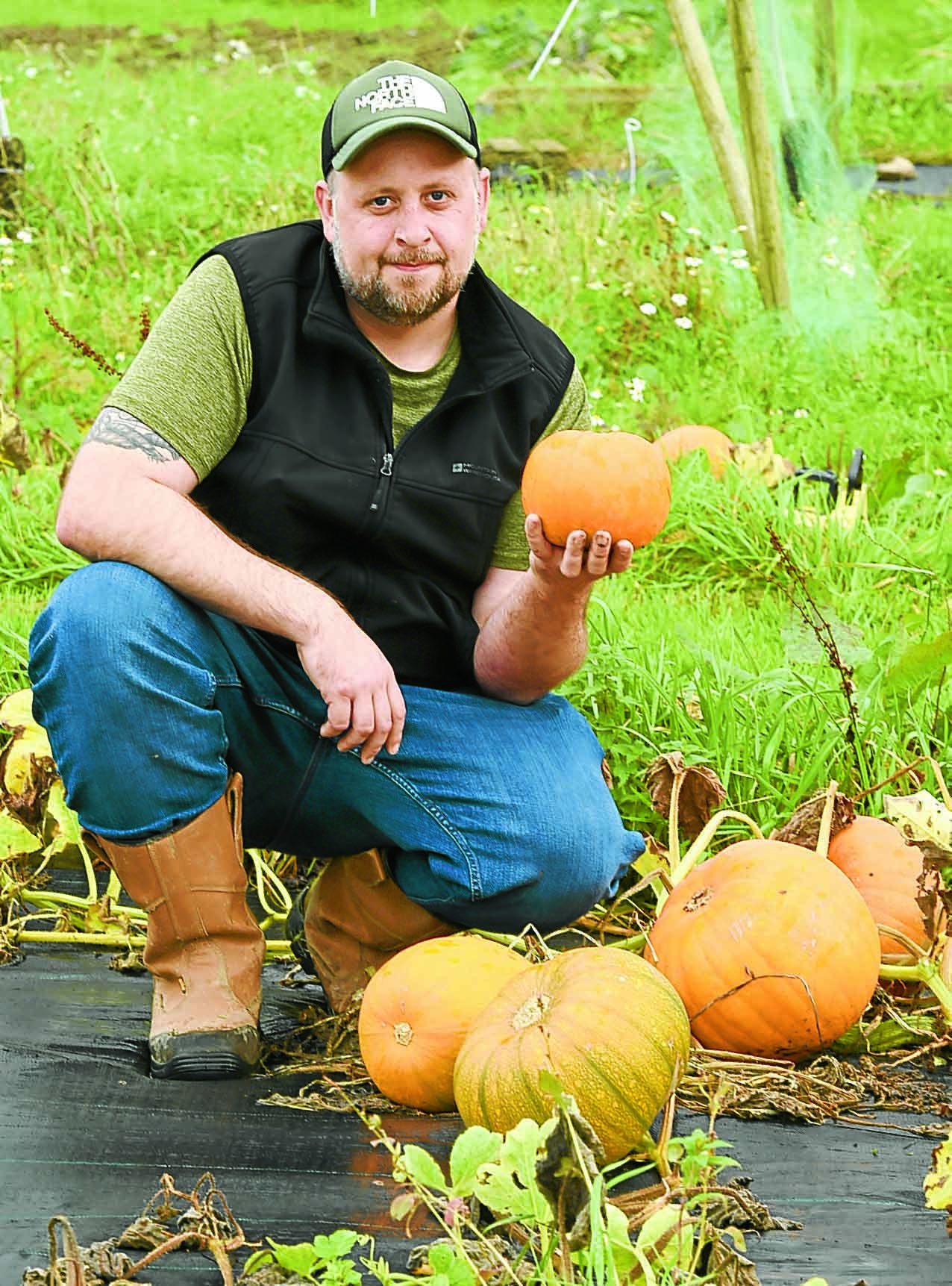 Pupils enjoy pumpkin picking