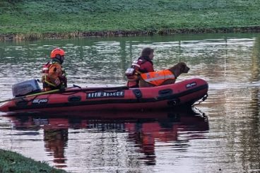 Search for missing man continues