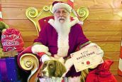 Paws for thought at Gretna