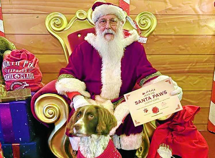 Paws for thought at Gretna
