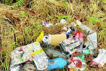 Litter plan aims to keep D&G beautiful