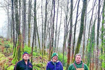 Woodland buyout starts to grow roots
