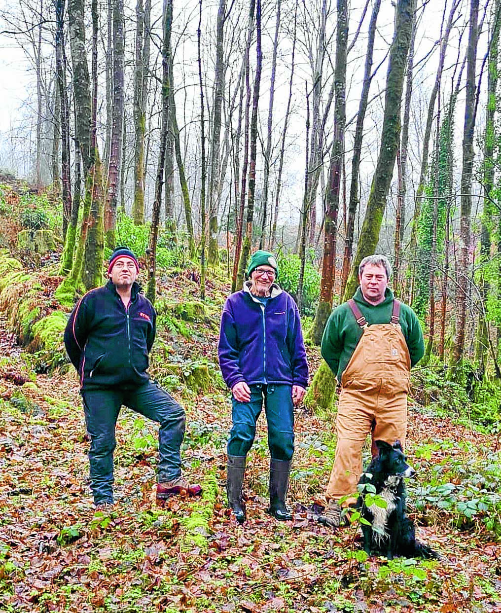 Woodland buyout starts to grow roots