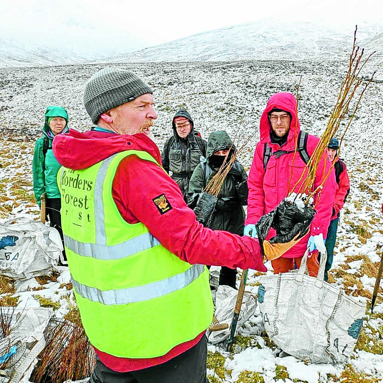 Tree-tastic efforts boost rewilding