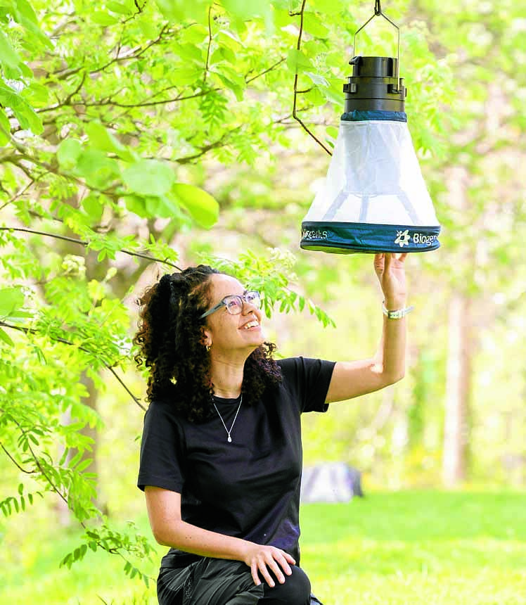 Scientists need help to find mosquitoes