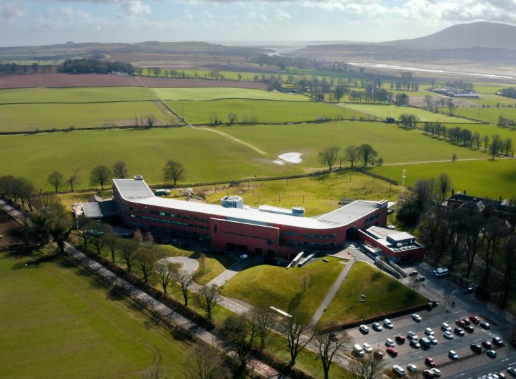 College celebrates award nomination