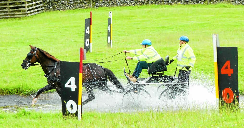 Club marks 40 years