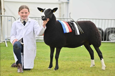 Family success with Holmlea flock