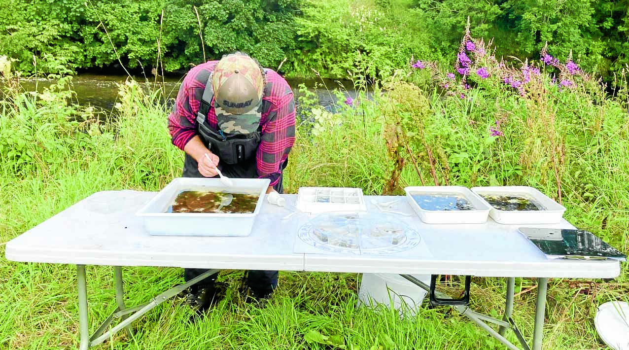 River survey looks  at local water life