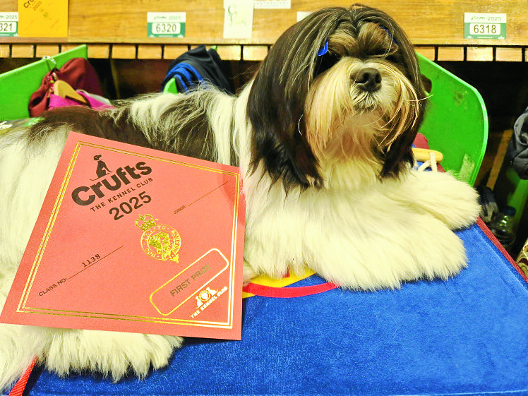 Crufts cheer for family
