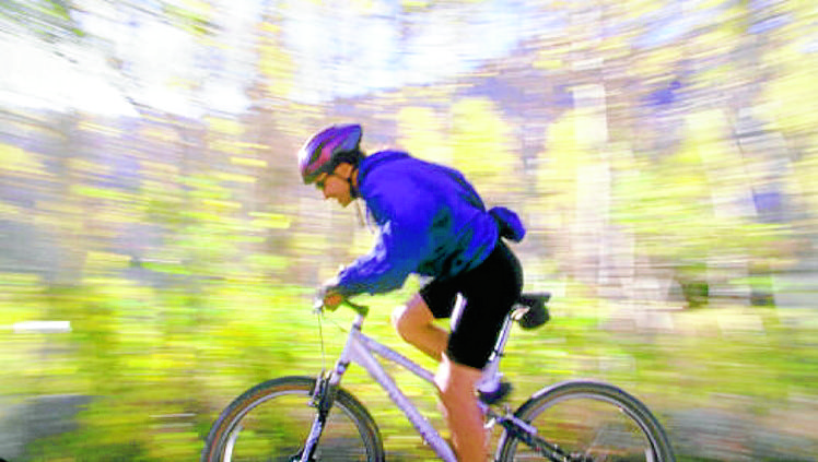 Common sense call to forest bikers