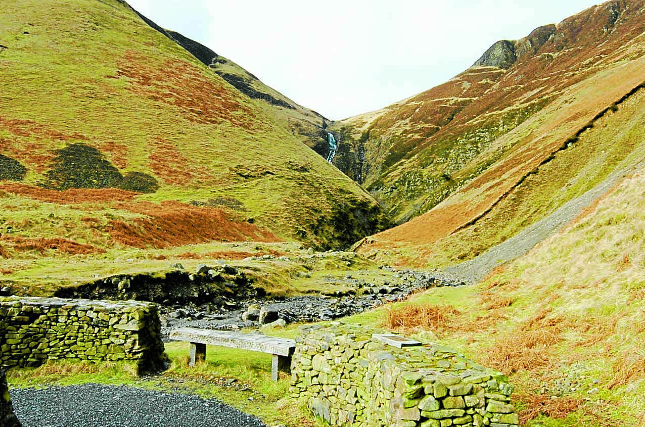 Dog’s waterfall accident sparks lead debate