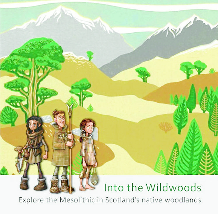 Find out about the history of forests