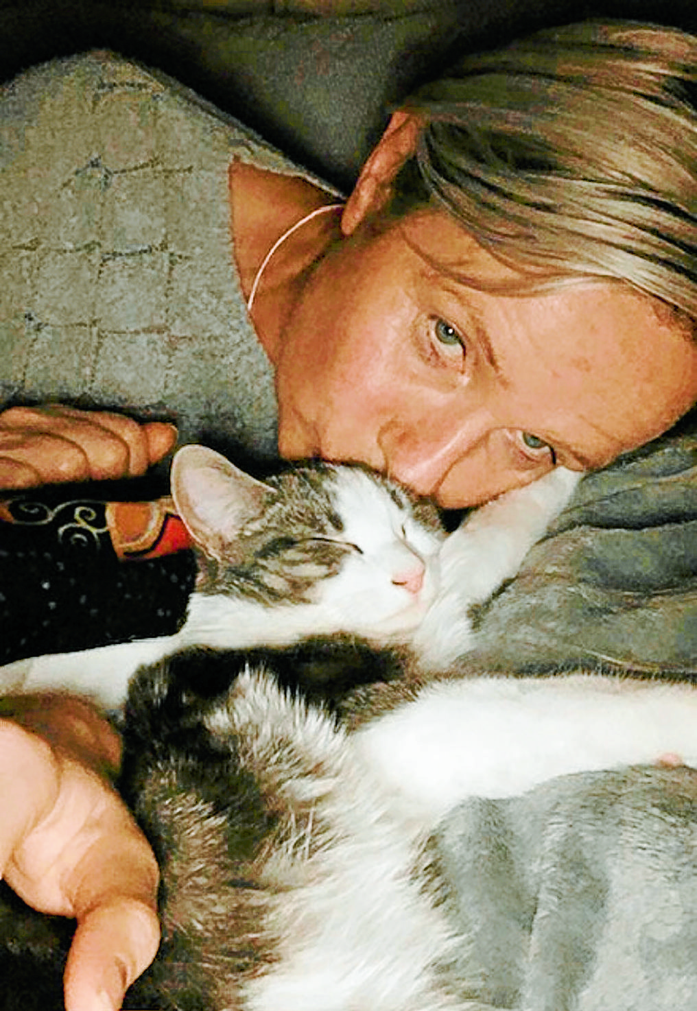 Pet cat’s death sparks road safety calls