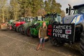 Farm theft punishment calls