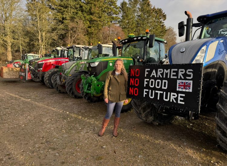 Farm theft punishment calls