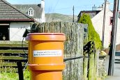Town sends clear message to dog owners