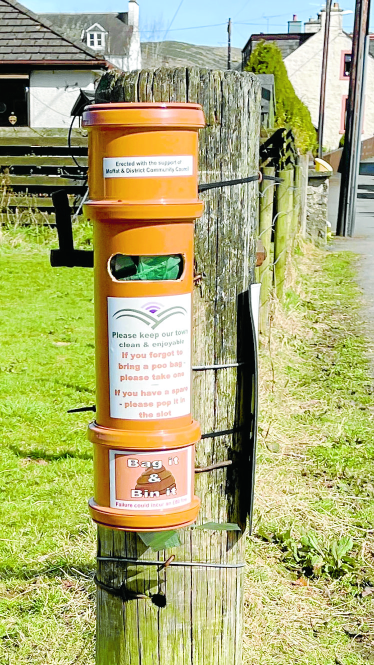 Town sends clear message to dog owners