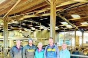 Dairy farm goes solar to cut energy costs