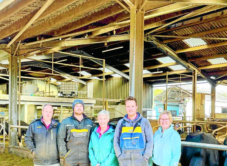 Dairy farm goes solar to cut energy costs
