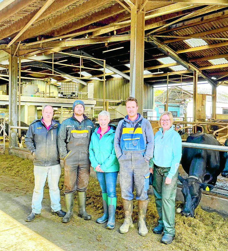 Dairy farm goes solar to cut energy costs