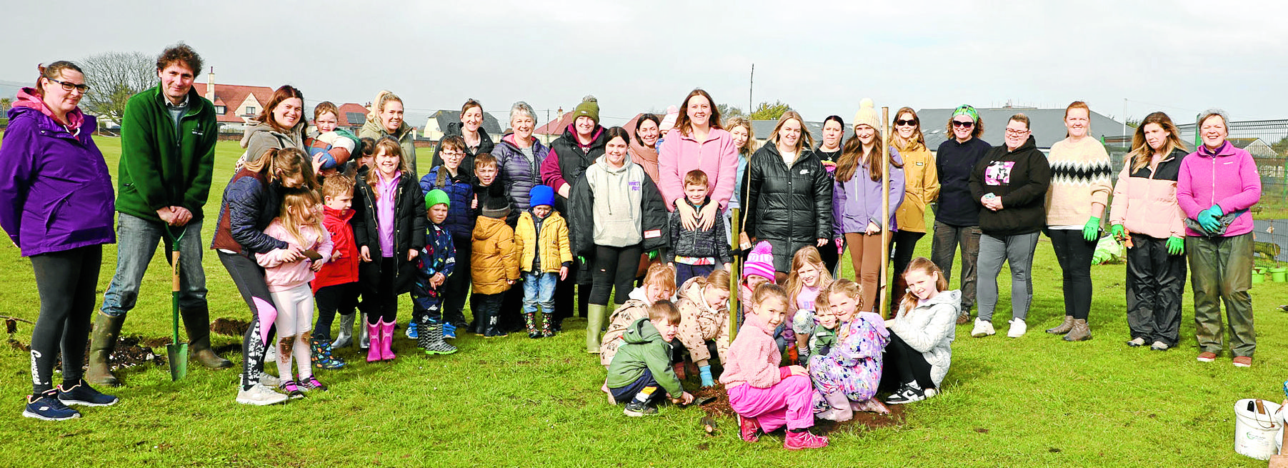 Tree planting project takes root