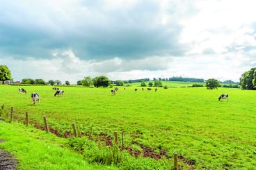 Dairy farm opportunity is rare