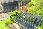 More than just a bench