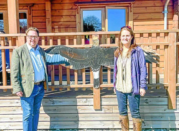 Eagle return impresses MSP