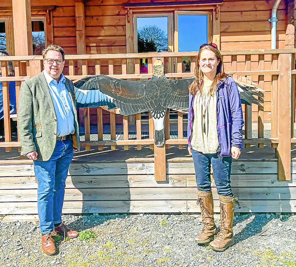 Eagle return impresses MSP