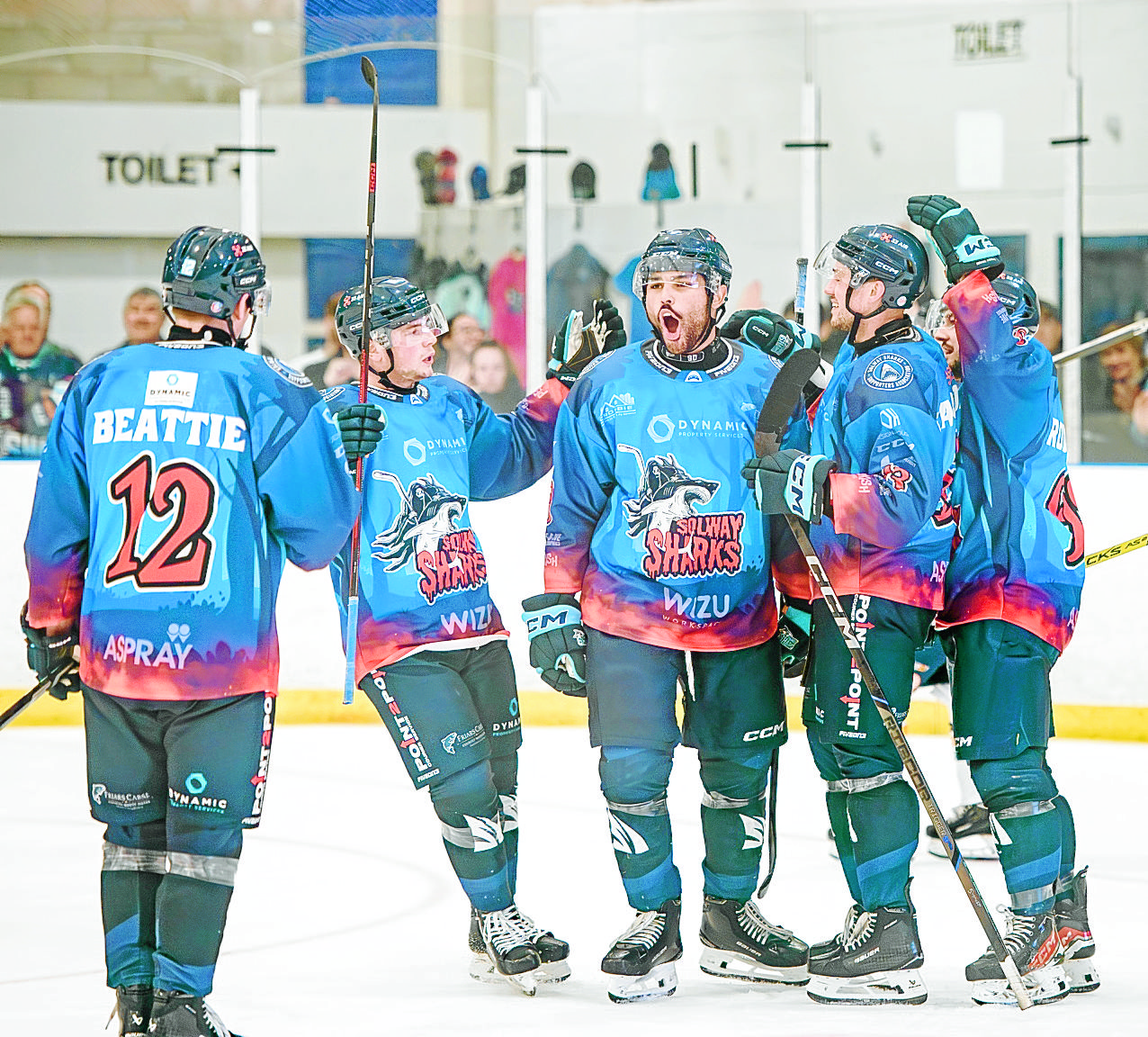 Shark attack – the Dumfries ice hockey team targeting success in the professional ranks